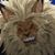 Erick Lancaster's profile image