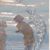 Rozanne Anderson's profile image