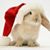 Janice Richards's profile image