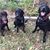 Kimberly Erickson Larson's profile image