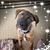 Susan Pettit's profile image