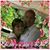 Patty Knowles's profile image