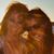 Kat Rutherford's profile image