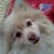 Gene James's profile image