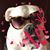 Faye Lecedre's profile image