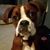 Joanne Profeta's profile image