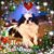 Kimberly S Pomo's profile image