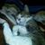 Retta Susanne Bluhm Jones's profile image