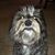 Carol Butler's profile image