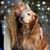 Joanne Schmalenberger's profile image