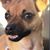 D Thao Bui's profile image