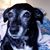 Heather Wright's profile image