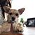 Karen Reed's profile image