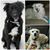 Rhonda Beaman-Manek's profile image
