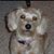 Tina Davis's profile image