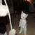 Mildred Mabel's profile image