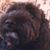 Alice Kellman's profile image