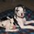 Stacey Reiling's profile image