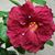 Kay Waterman's profile image