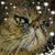 Michelle Smith Stump's profile image