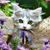 Willow Moon's profile image