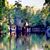 Judy Arnold McKenzie's profile image