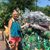 Virginia Metzler Lee's profile image