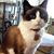 Melody White Shirley's profile image