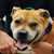Christina Shetrone Daughtry's profile image