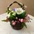 Joan Wilson's profile image