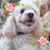 Ronda Renner-Strauss's profile image