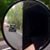 John Maloney's profile image