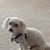 Trisha Pierotti's profile image