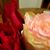 Michelle Marie's profile image