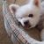 Heather Travers's profile image