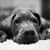 Wendy LeMay's profile image