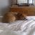 Maria Daniela Mina's profile image