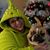 Monica Windom's profile image