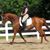 Linda Breuer's profile image