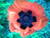 S R.'s profile image