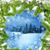 Kathy Hites's profile image