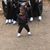 Yolanda Turn's profile image