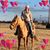 Jennifer Kleinpeter's profile image