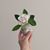 Keiko Coghlin's profile image
