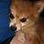 Alvin Goins's profile image
