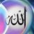 محمد عرفان فیضانی's profile image