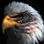 Doug N Marie Gotterson's profile image