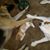 Donna Eardley's profile image