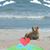 Kimberly Sandford's profile image