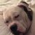 Nancy Sivitz's profile image